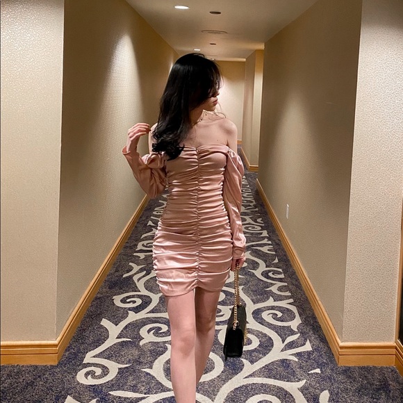 Light pink silk elastic dress - Picture 2 of 2